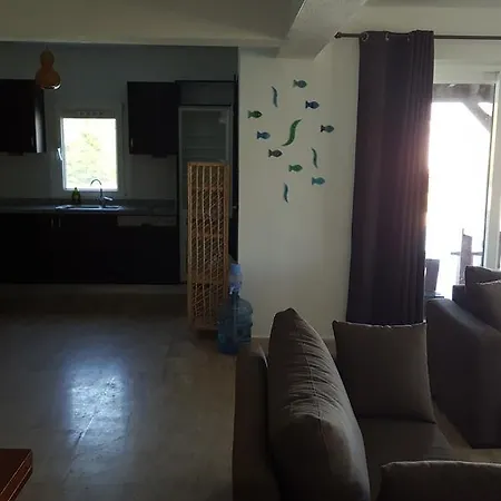 Villa Bodrum Ozel Havuzlu Mustakil Tripleks Gündoğan